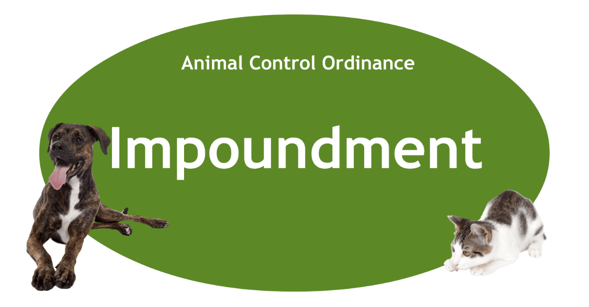 Impoundment Page Banner