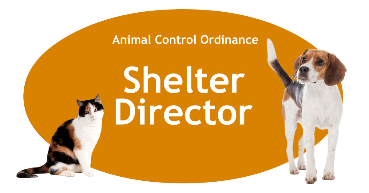 Shelter Director Page Banner