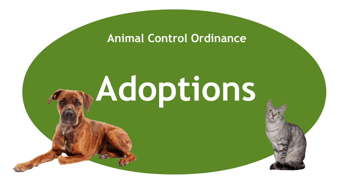 Adoptions Page Banner