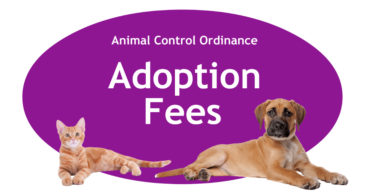 Adoption Fees Page Banner