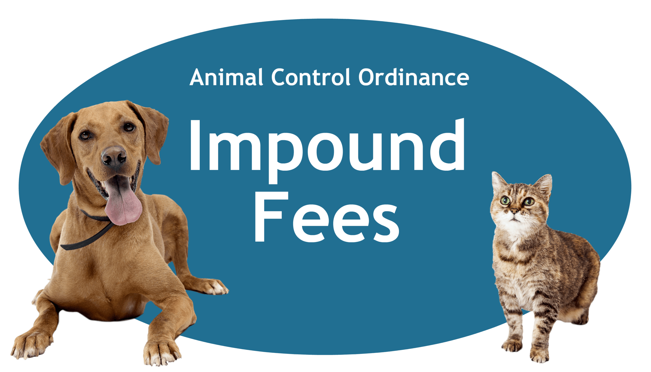 Impound Fees Page Banner