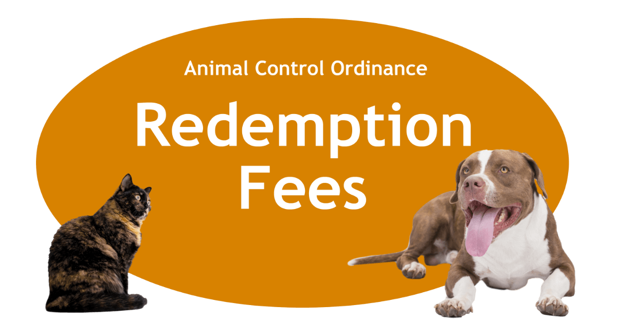 Redemption Fees Page Banner