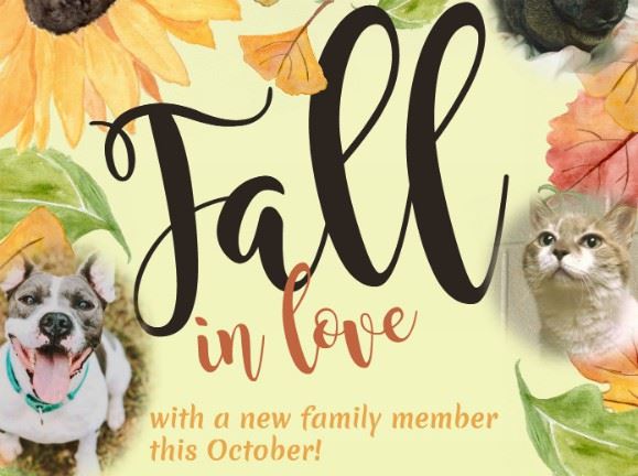 CLICK HERE for more information.