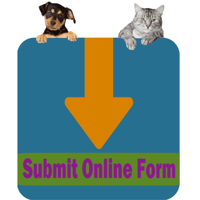 CLICK HERE to complete and submit the online Foster Introduction Form