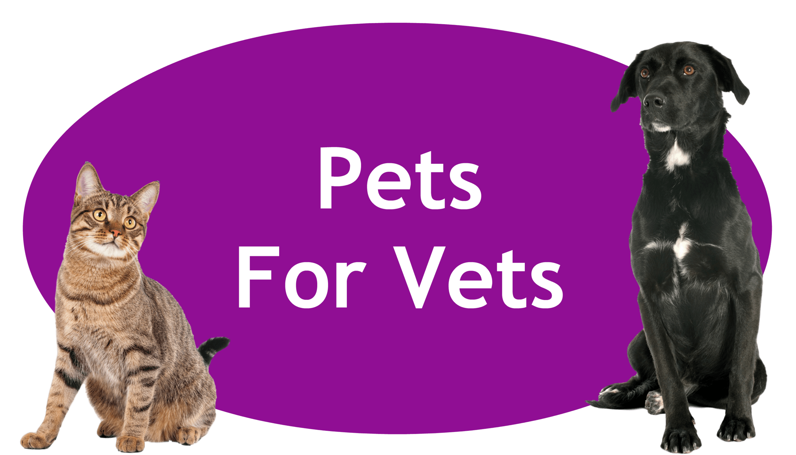 Pets For Vets Page Banner