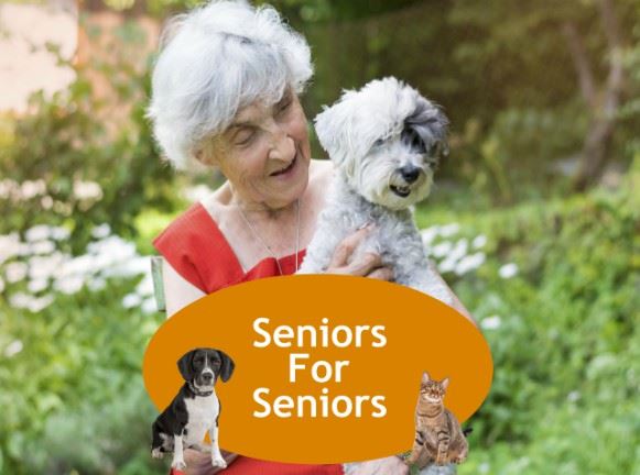 CLICK HERE to learn more about our Seniors For Seniors Adoption Program