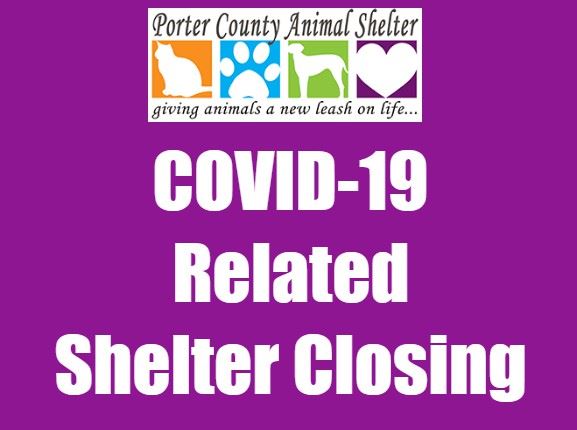 COVID 19 Related Shelter Closing