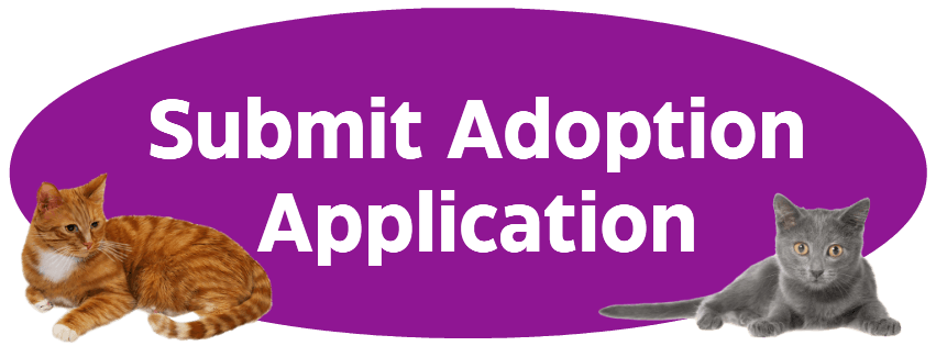 Submit Adoption Application For Cats