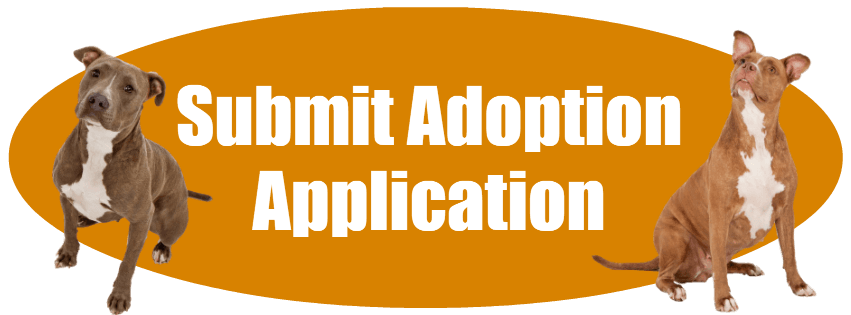 Submit Adoption Application - Dogs